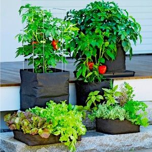 4 Gardener’s Supply Large Tomato Grow Bags